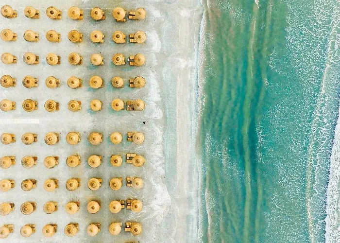 Grand Dedal Navodari